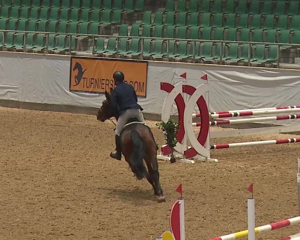 Reitturnier Kreuth/Opf. 2023