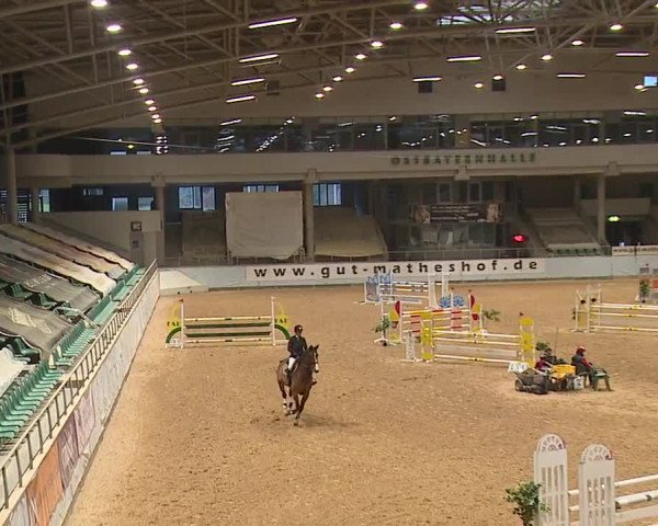 Reitturnier Kreuth/Opf. 2023