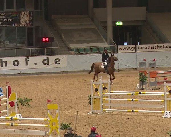 Reitturnier Kreuth/Opf. 2023