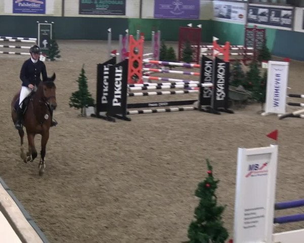 Reitturnier Jöllenbeck-Reitanlage Sonntag 2023