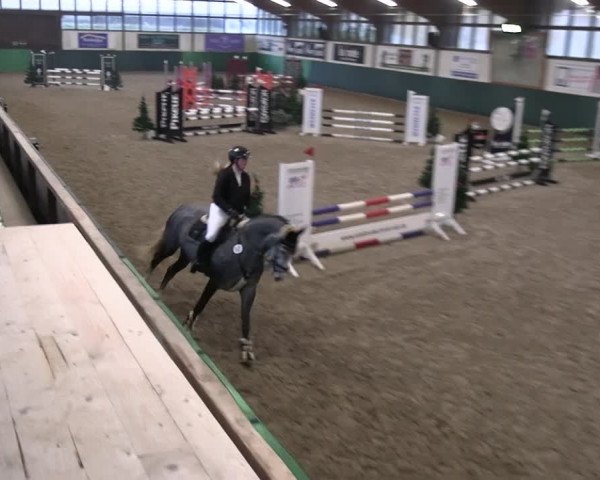 Reitturnier Jöllenbeck-Reitanlage Sonntag 2023