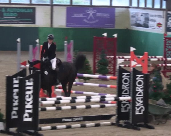 Reitturnier Jöllenbeck-Reitanlage Sonntag 2023