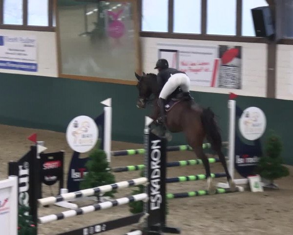 Reitturnier Jöllenbeck-Reitanlage Sonntag 2023