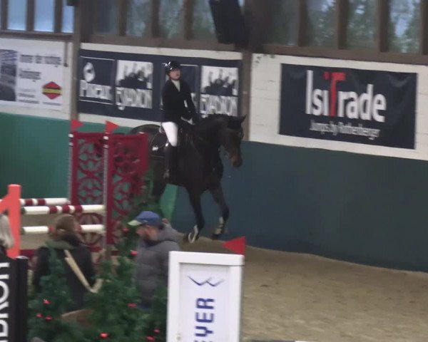 Reitturnier Jöllenbeck-Reitanlage Sonntag 2023