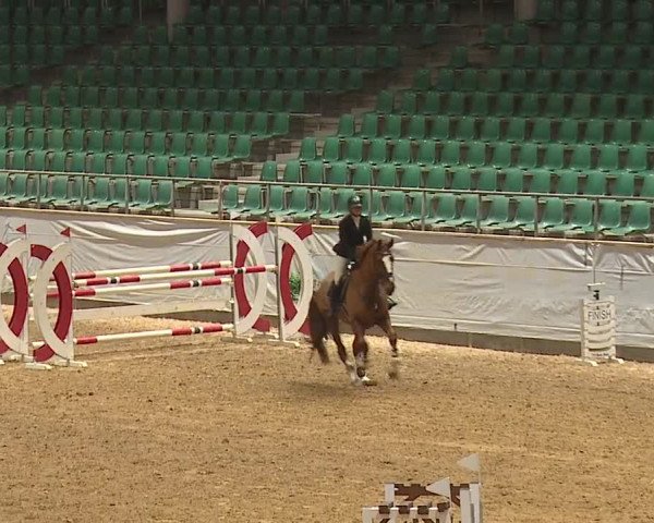 Reitturnier Kreuth/Opf. 2023