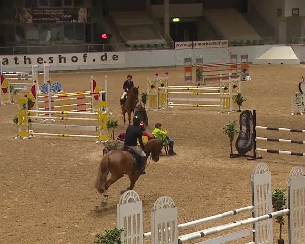 Reitturnier Kreuth/Opf. 2023