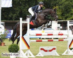 Springpferd Georgia R (Holsteiner, 2014, von Cayado 3)