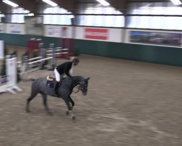 Reitturnier Jöllenbeck-Reitanlage Sonntag 2023