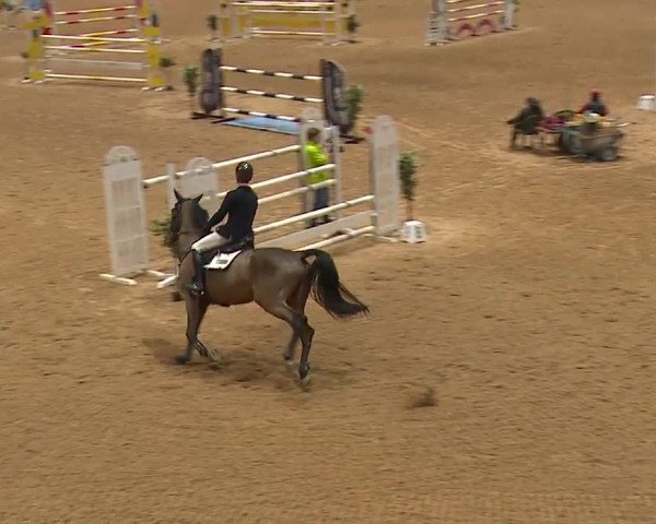 Reitturnier Kreuth/Opf. 2023