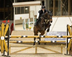 jumper Nemo Is Back (Westphalian, 2017, from Nelson 240)