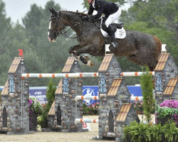 jumper Jumping Jack Zf (Canadian Warmblood, 2012, from Kannan)