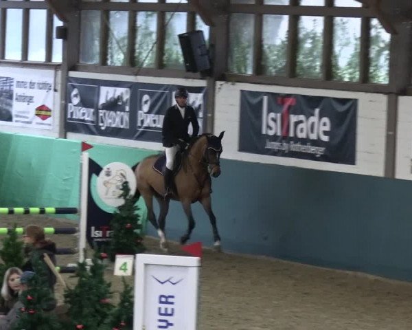 Reitturnier Jöllenbeck-Reitanlage Sonntag 2023