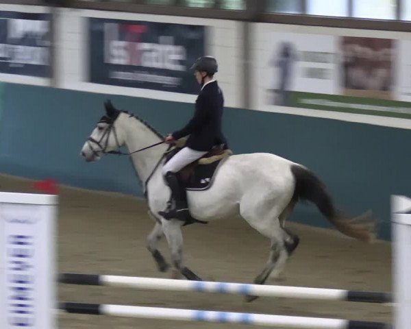 Reitturnier Jöllenbeck-Reitanlage Sonntag 2023