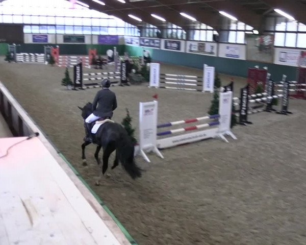 Reitturnier Jöllenbeck-Reitanlage Sonntag 2023