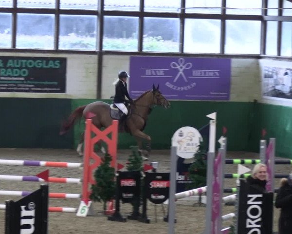 Reitturnier Jöllenbeck-Reitanlage Sonntag 2023