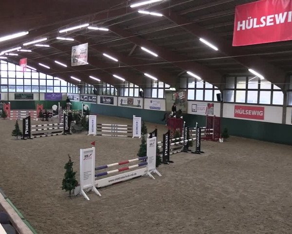 Reitturnier Jöllenbeck-Reitanlage Sonntag 2023