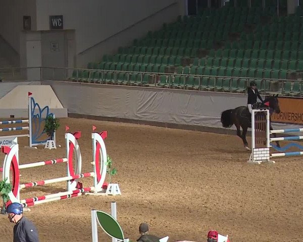 Reitturnier Kreuth/Opf. 2023