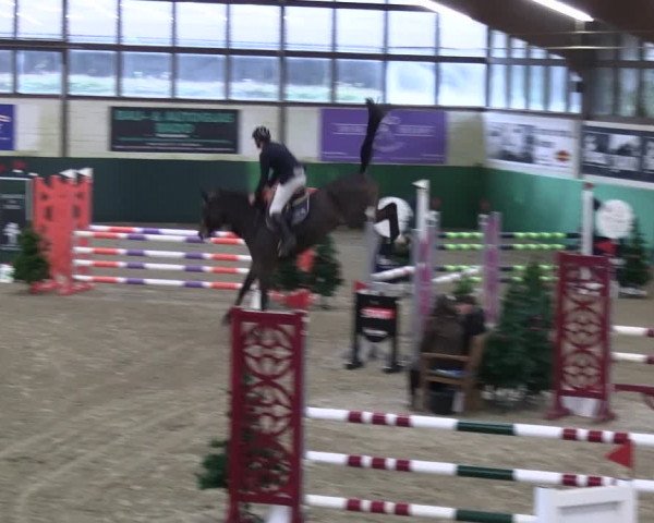 Reitturnier Jöllenbeck-Reitanlage Sonntag 2023
