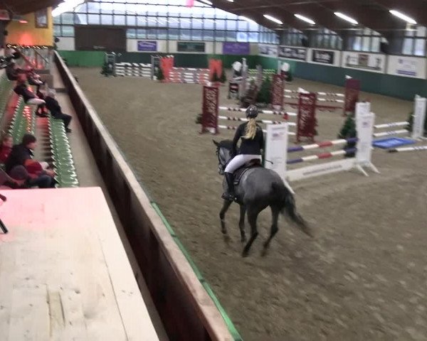 Reitturnier Jöllenbeck-Reitanlage Sonntag 2023