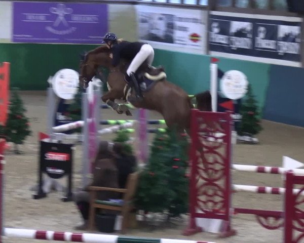 Reitturnier Jöllenbeck-Reitanlage Sonntag 2023