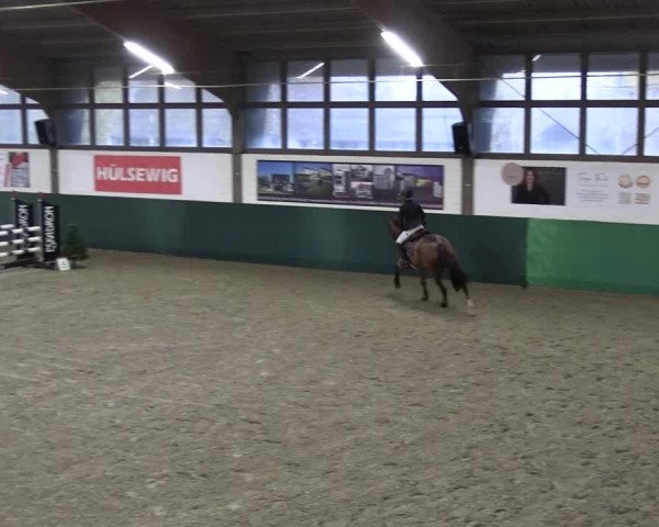 Reitturnier Jöllenbeck-Reitanlage Sonntag 2023