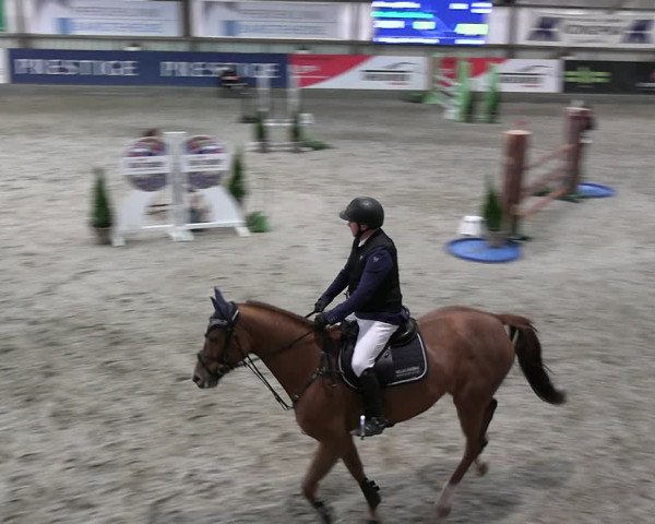 2. Nordic Jumping event Negernbötel 2023