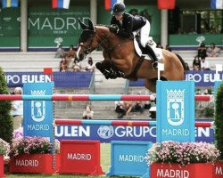 Springpferd Colombia de Beaufour (Selle Français, 2012, von Ogano Sitte)