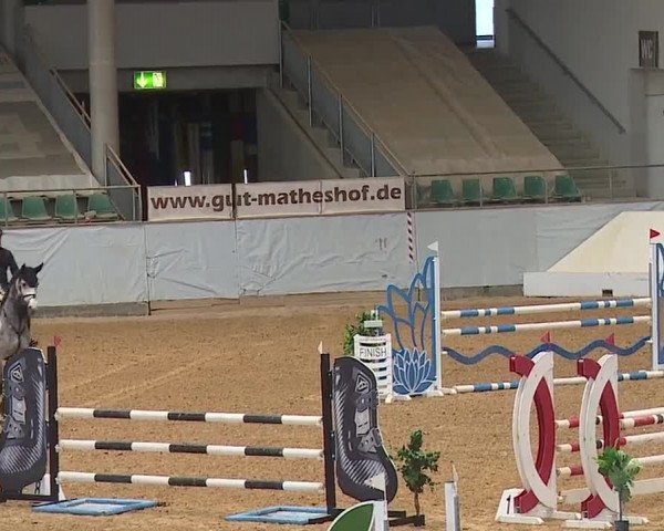 Reitturnier Kreuth/Opf. 2023
