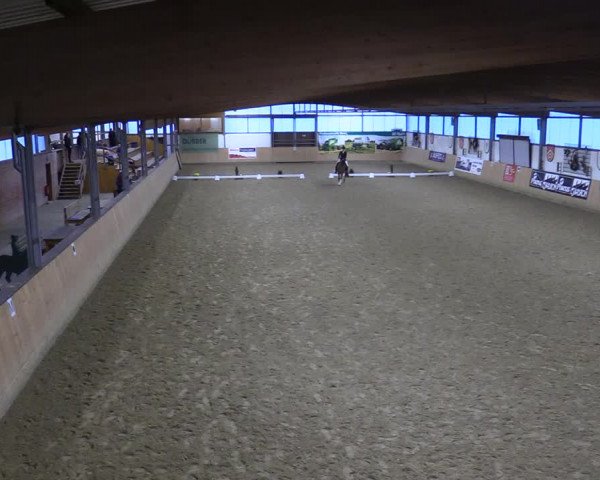 Dressurturnier Borgholzhausen-Westbarthausen 2021