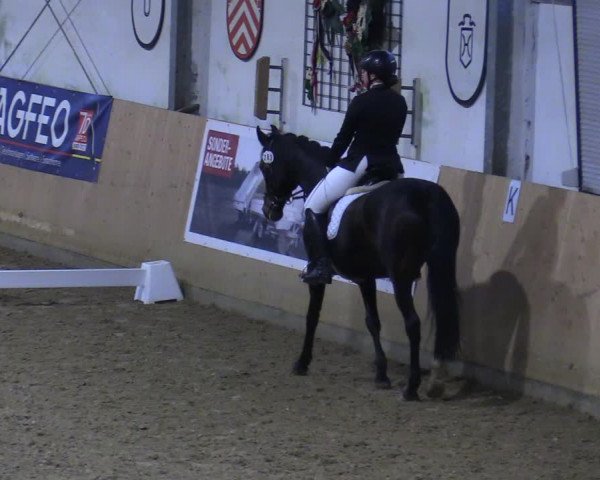 Dressurturnier Borgholzhausen-Westbarthausen 2021