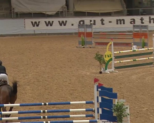 Reitturnier Kreuth/Opf. 2023