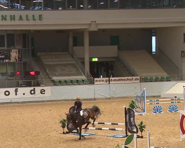 Reitturnier Kreuth/Opf. 2023