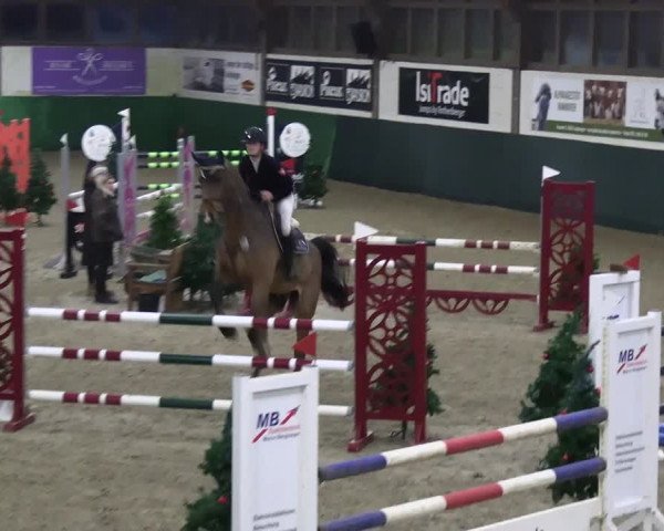 Reitturnier Jöllenbeck-Reitanlage Sonntag 2023