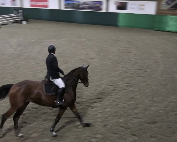Reitturnier Jöllenbeck-Reitanlage Sonntag 2023