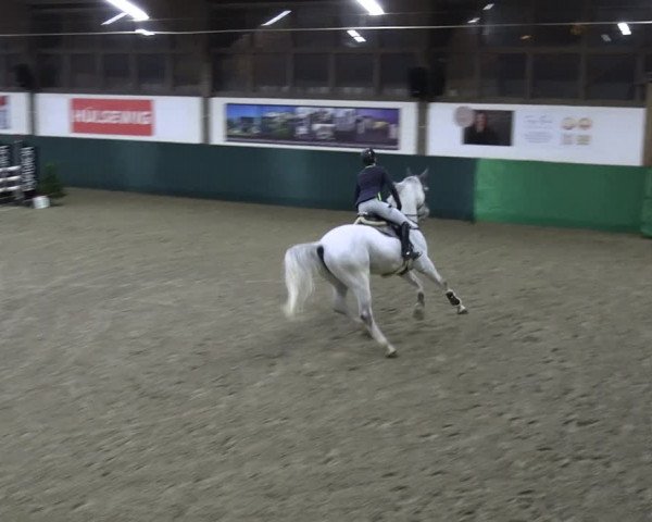 Reitturnier Jöllenbeck-Reitanlage Sonntag 2023