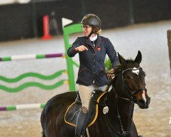 jumper Haegliloos Tammy (Oldenburg, 2017, from Toulon)