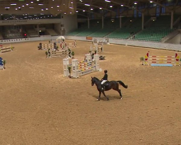 Reitturnier Kreuth/Opf. 2023
