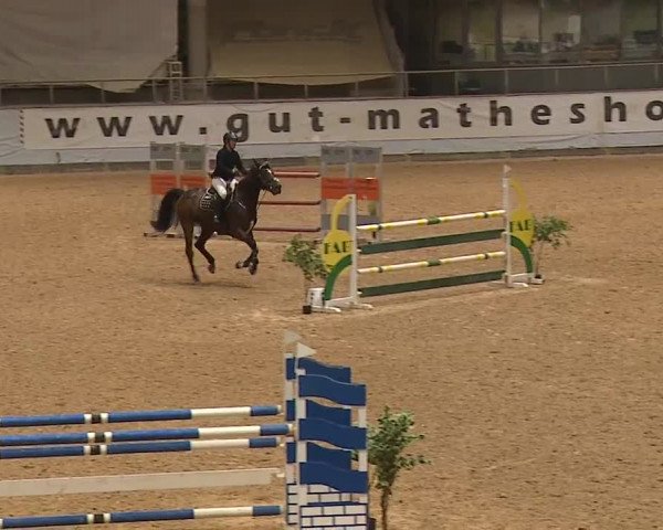Reitturnier Kreuth/Opf. 2023