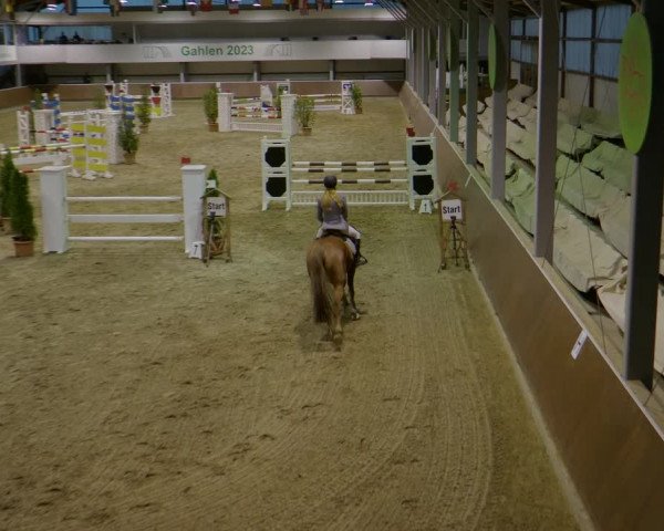 Reitturnier Gahlen 2023