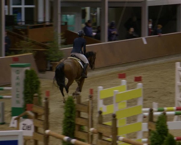 Reitturnier Gahlen 2023