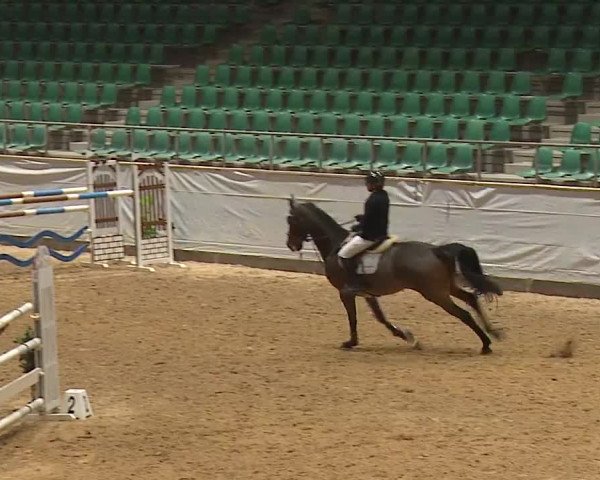 Reitturnier Kreuth/Opf. 2023