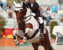 dressage horse Dancer 196 (unknown, 2003)