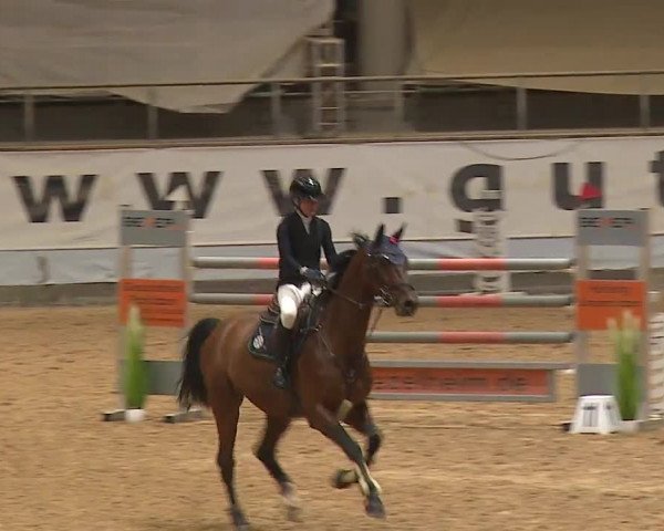 Reitturnier Kreuth/Opf. 2023