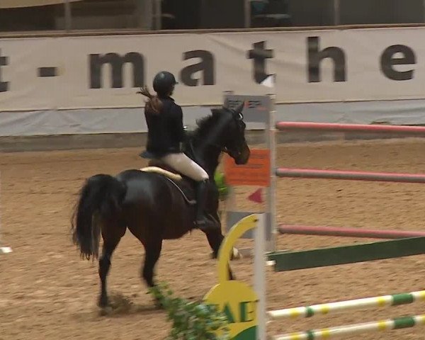 Reitturnier Kreuth/Opf. 2023