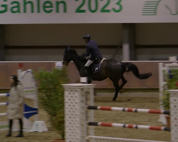 Reitturnier Gahlen 2023