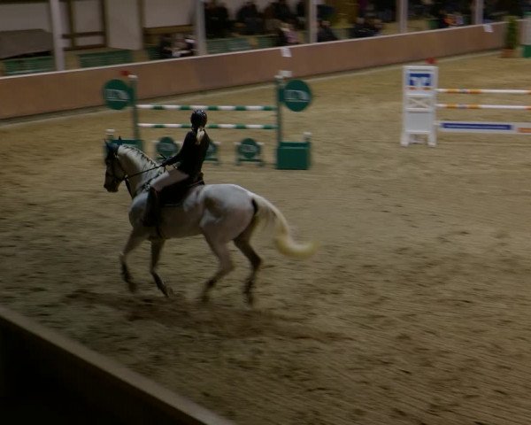 Reitturnier Gahlen 2023