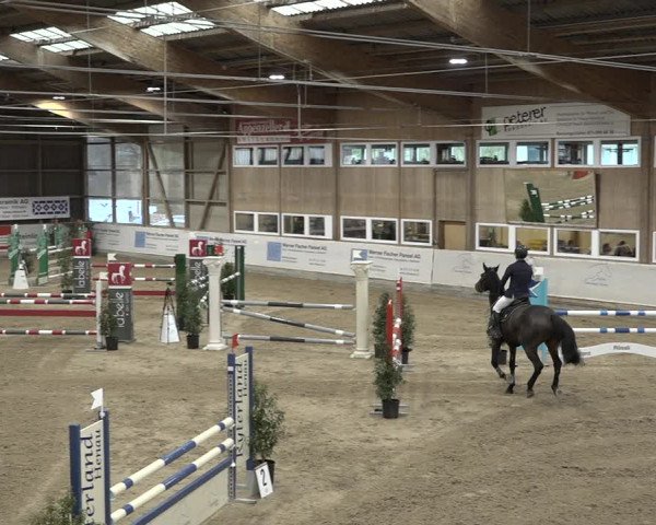 Reitturnier Henau 2023