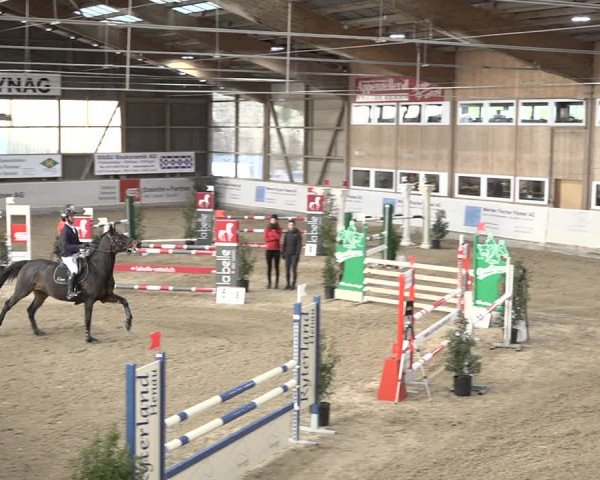 Reitturnier Henau 2023
