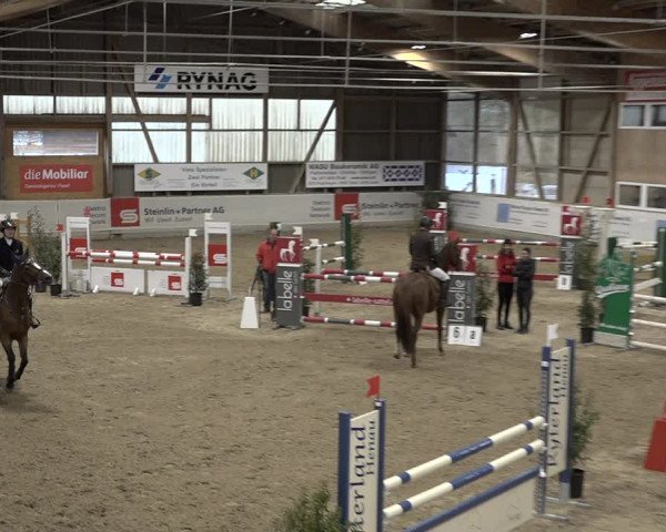 Reitturnier Henau 2023