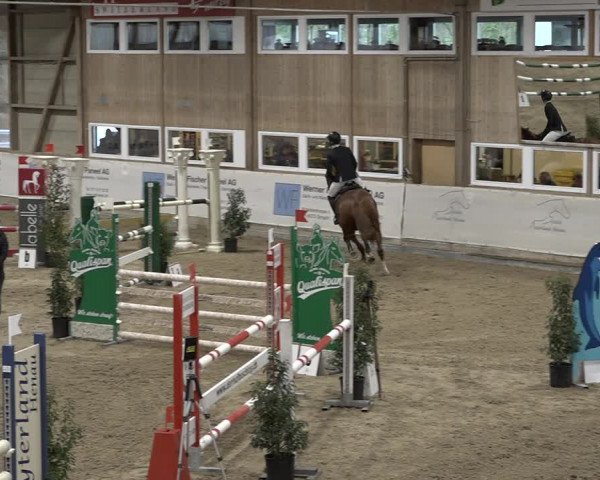 Reitturnier Henau 2023